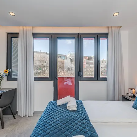 Lichia Amia Luxury