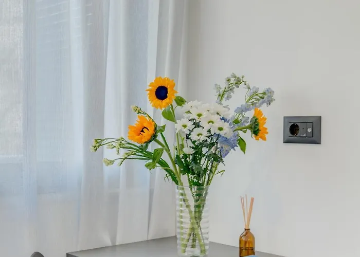 Lichia Amia Luxury 스플리트