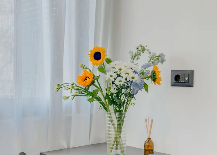 Lichia Amia Luxury * Split